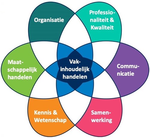 De 7 CanMEDS rollen visueel overzicht